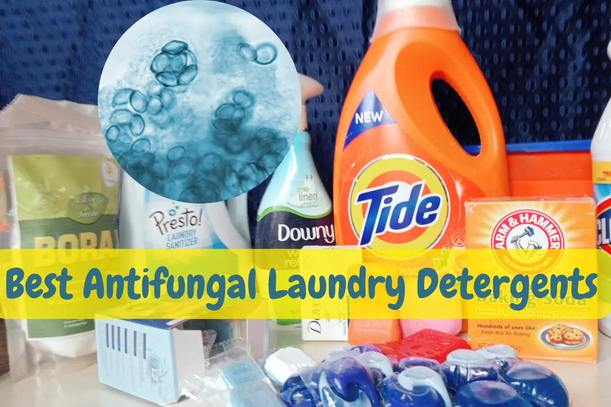 best antifungal laundry detergent