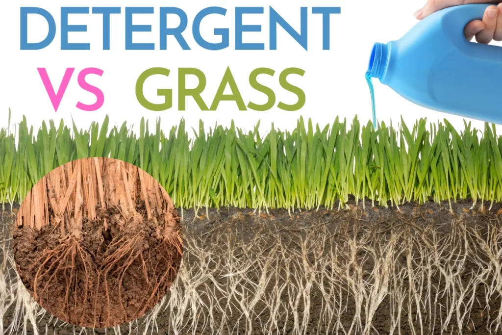 detergent grass