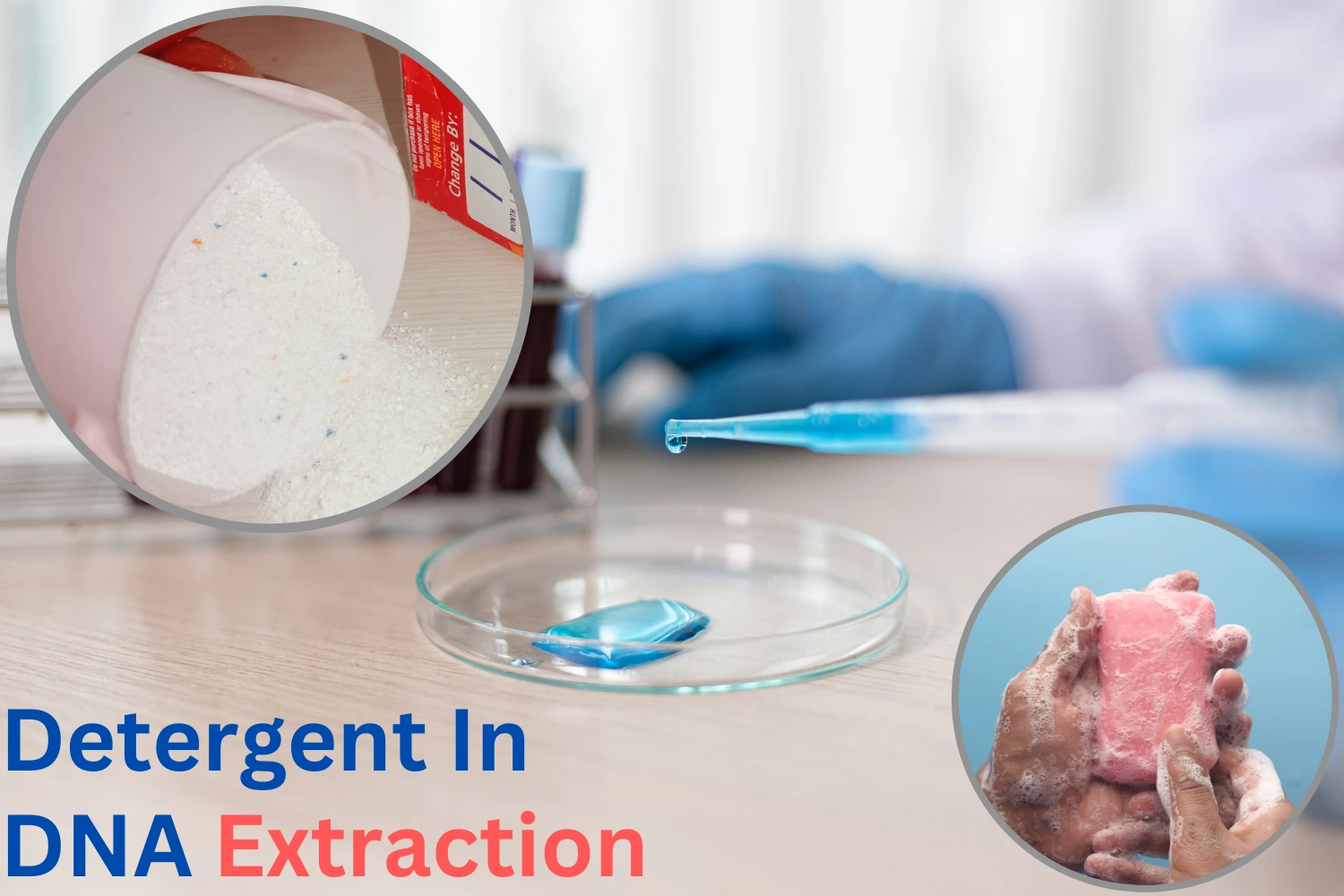 why use detergent in dna extraction